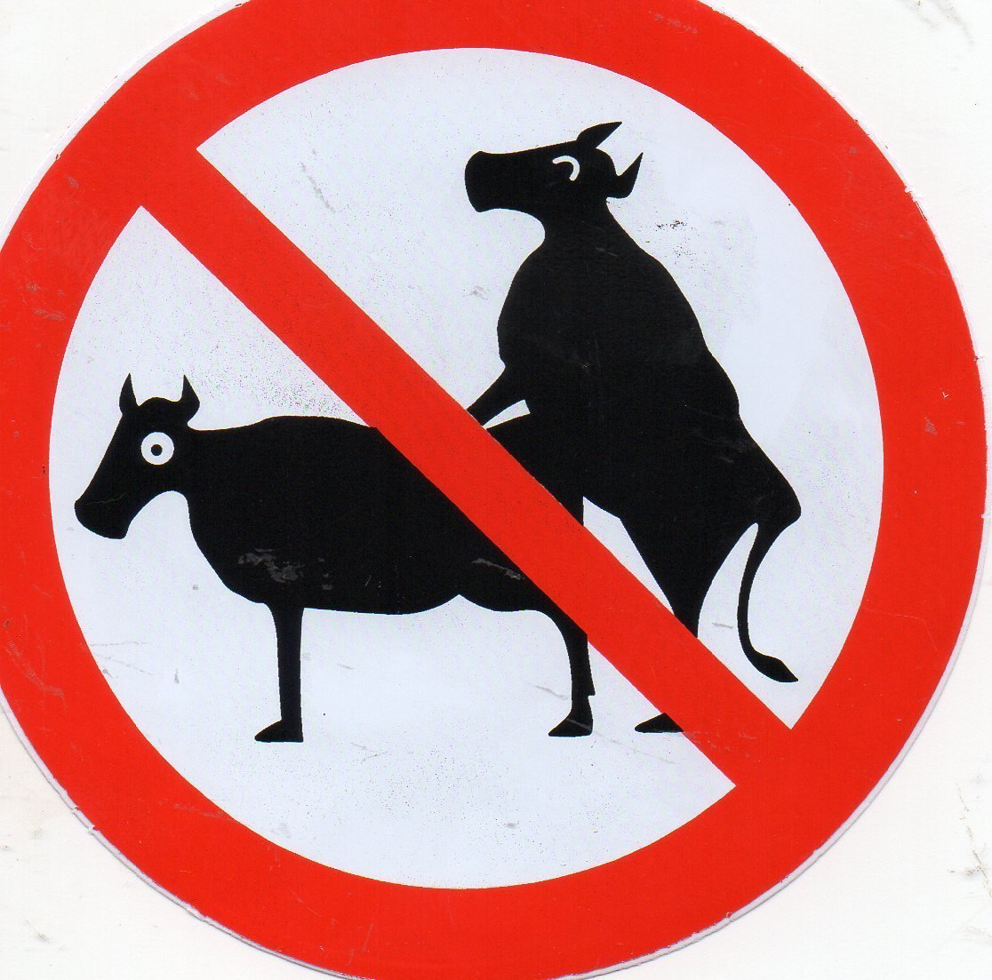 Verboten " Kuh von hinten " rund Aufkleber Sticker selbstklebend 232