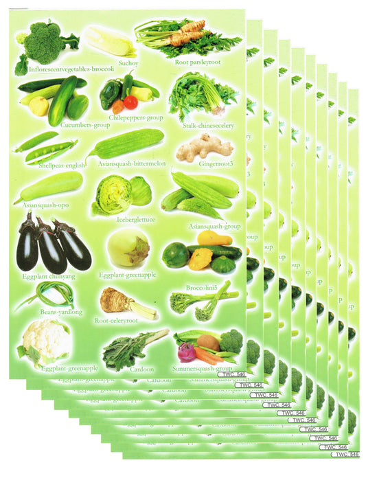 10ER Vorteilsangebot Gemüse vegan Aufkleber Sticker Kinder Basteln Kindergarten Sammeln Geburtstag 10 Bogen 106