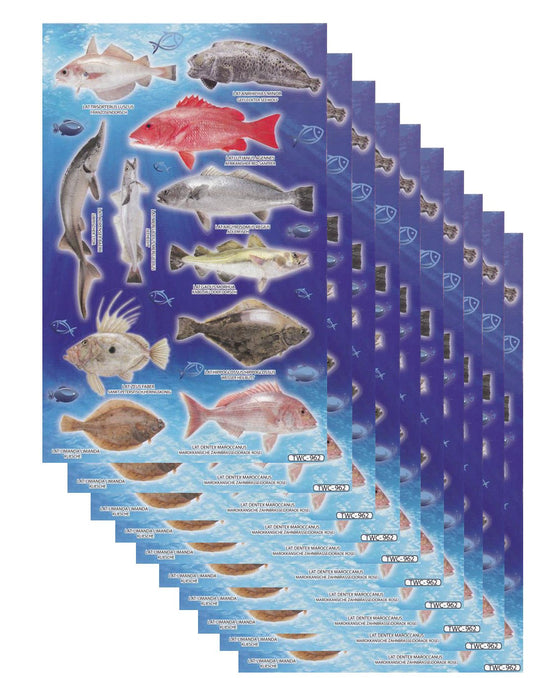 Poissons mer aquarium poissons animaux autocollants pour enfants artisanat maternelle anniversaire 1 feuille 145