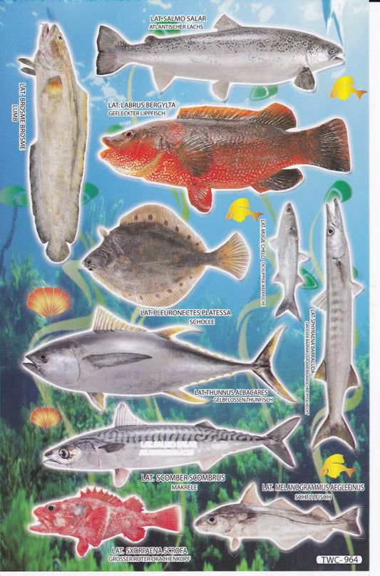 Fische Meer Aquarium Fisch Tiere Aufkleber Sticker für Kinder Basteln Kindergarten Geburtstag 1 Bogen 116