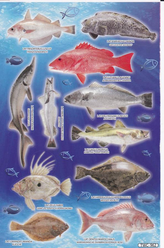 Poissons mer aquarium poissons animaux autocollants pour enfants artisanat maternelle anniversaire 1 feuille 117
