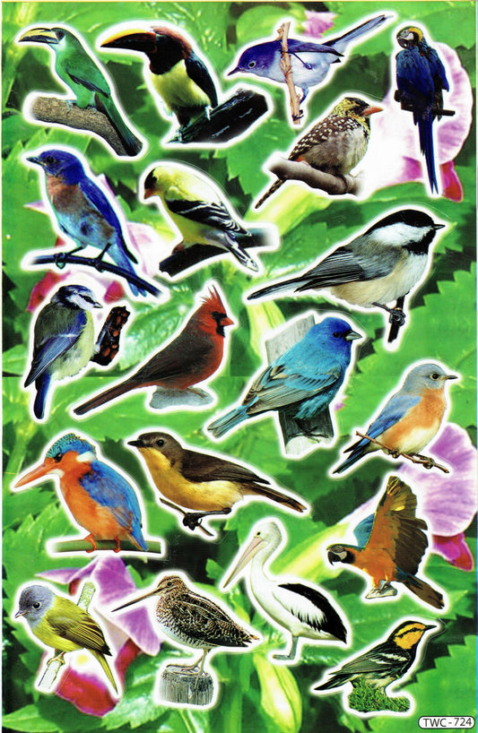 Oiseaux, oiseaux chanteurs, pics, rouges-gorges, animaux, autocollants pour l'artisanat des enfants, maternelle, anniversaire, 1 feuille 311