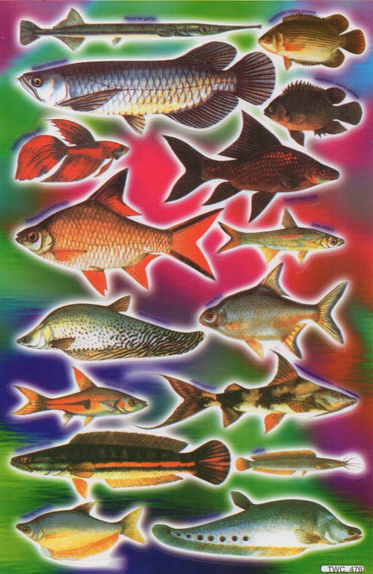 Poissons mer aquarium poissons animaux autocollants pour enfants artisanat maternelle anniversaire 1 feuille 063