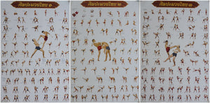 Muay Thai Poster Set 3 pieces Ideal for MMA boxing school training