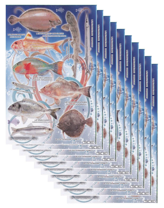 10ER Vorteilsangebot Fische Meer Aquarium Fisch Tiere Aufkleber Sticker Kinder Basteln Kindergarten Sammeln Geburtstag 10 Bogen 122