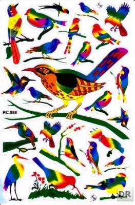 Bird Birds Woodpecker Animals Stickers for Children Crafts Kindergarten Birthday 1 sheet 143