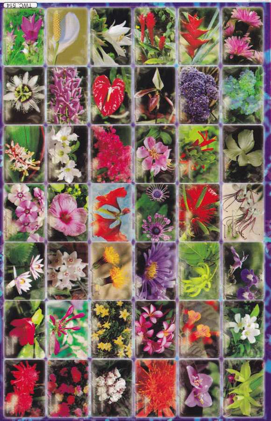 Orchidées Hibiscus Fleurs Plantes Autocollants pour Enfants Artisanat Maternelle Anniversaire 1 feuille 210
