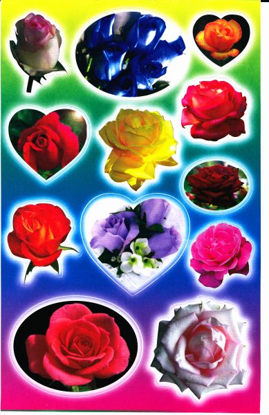Rosen Rose Blumen Pflanzen Aufkleber Sticker für Kinder Basteln Kindergarten Geburtstag 1 Bogen 314