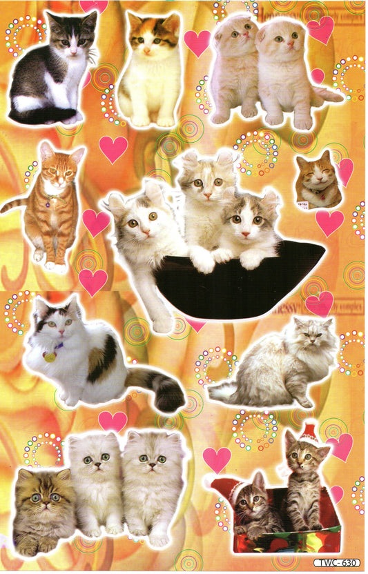 Chat tomcat chats chaton chaton animaux autocollants autocollants pour enfants artisanat maternelle anniversaire 1 feuille 364