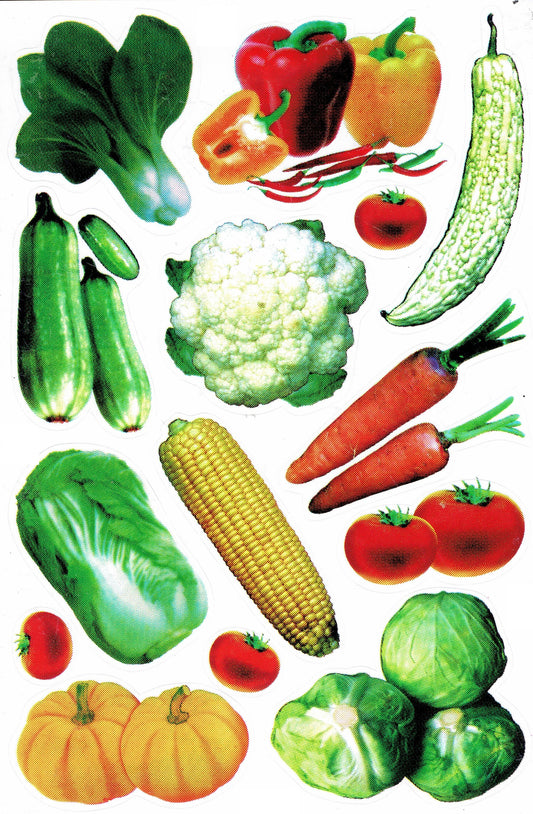 Vegetables corn on the cob cabbage pumpkin cauliflower tomato stickers for children's crafts kindergarten birthday 1 sheet 371