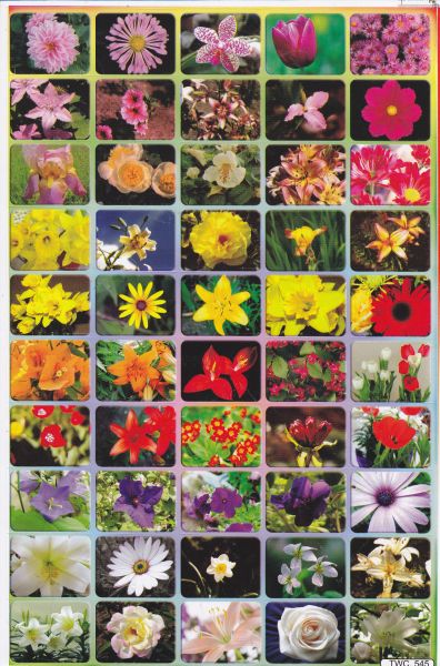 Orchideen Hibiskus Blumen Pflanzen Aufkleber Sticker für Kinder Basteln Kindergarten Geburtstag 1 Bogen 389