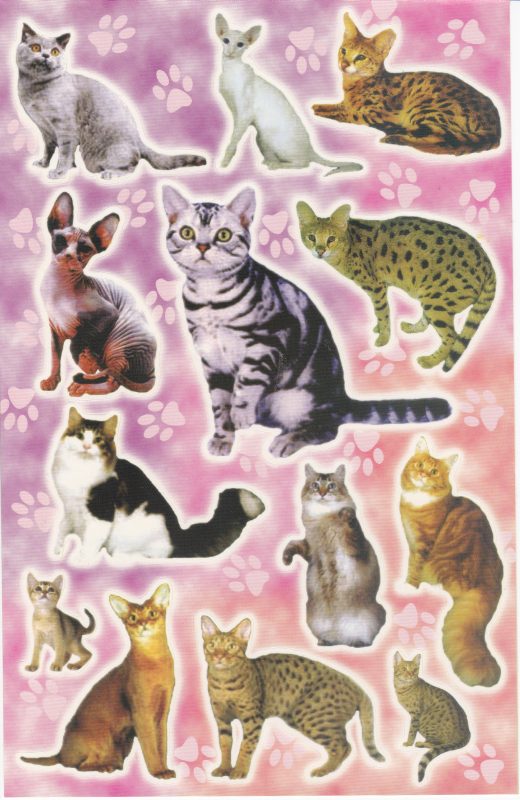 Katze Kater Katzen Kätzchen Kitten Tiere Aufkleber Sticker für Kinder Basteln Kindergarten Geburtstag 1 Bogen 403