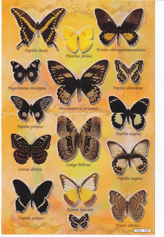 Butterflies Insects Animals Stickers for Children Crafts Kindergarten Birthday 1 sheet 405