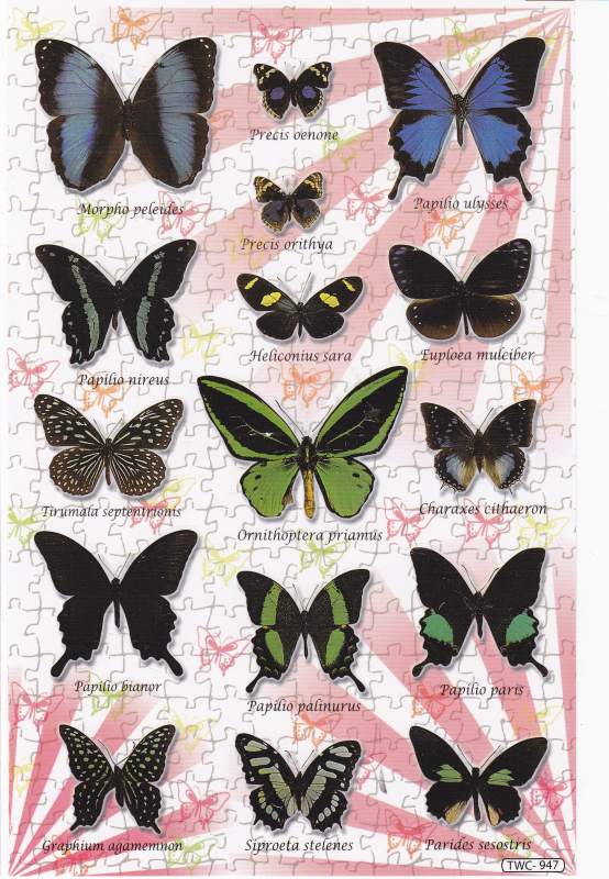 Butterflies Insects Animals Stickers for Children Crafts Kindergarten Birthday 1 sheet 410