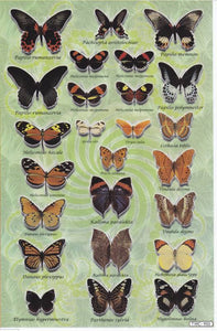 Schmetterlinge Insekten Tiere Aufkleber Sticker für Kinder Basteln Kindergarten Geburtstag 1 Bogen 411