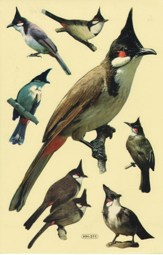 Woodpecker Oiseau Animaux Autocollants pour Enfants Artisanat Maternelle Anniversaire 1 feuille 503