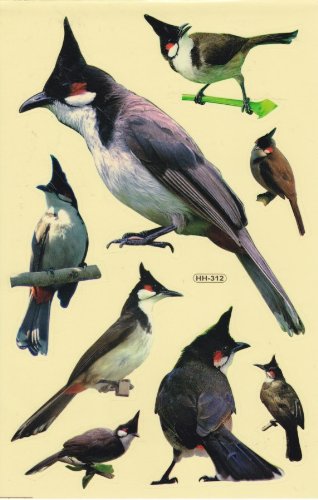 Woodpecker Bird Animals Stickers for Children Crafts Kindergarten Birthday 1 sheet 513